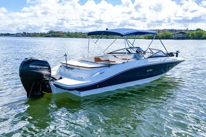 2018 Sea Ray 210 SPX Outboard