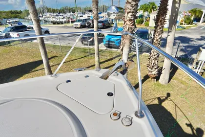 2007 Chaparral 310 Signature