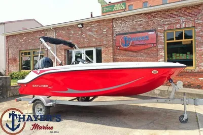 2024 Bayliner M17