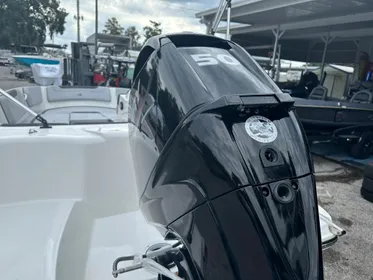 2024 Bayliner Element M15