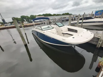 2019 Sea Ray SDX 290