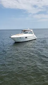 2008 Cruisers Yachts 360 Express