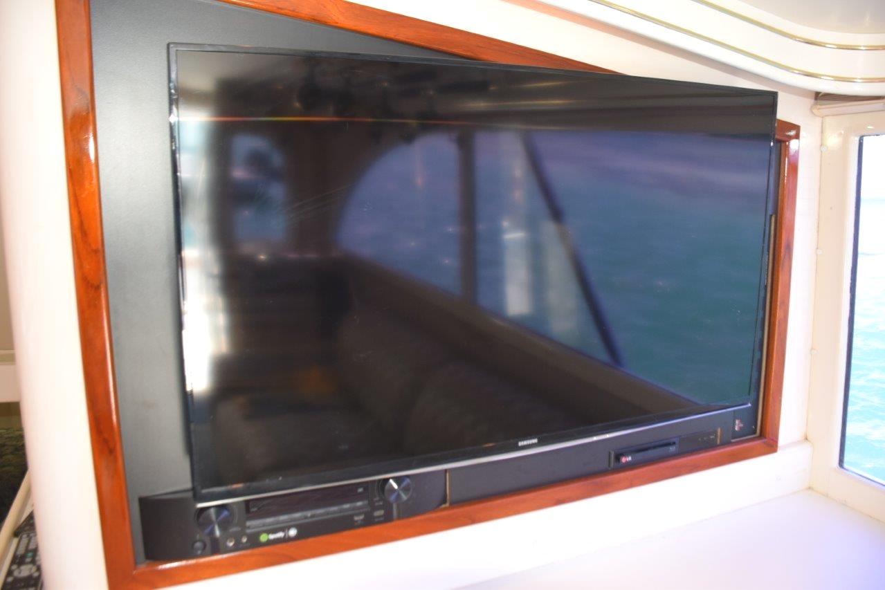 Flat panel TV in salon