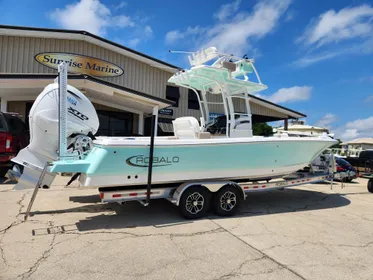 2024-ROBALO-266-CAYMAN-SD