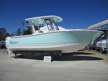 2024 Robalo R270 In Stock and Ready Rebate Expires 07/08/24