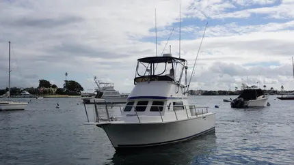 1998 Blackman 26' Billfish