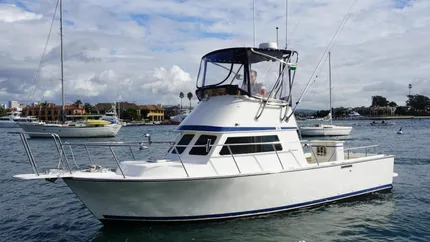 1998 Blackman 26' Billfish