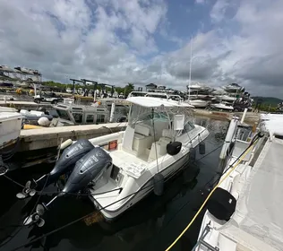 2006 Hydra-Sports 2900 VX