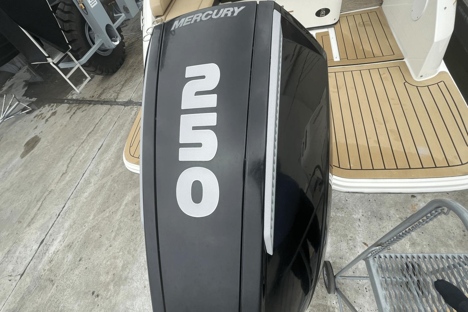2019 Sea Ray 250 SDX OB