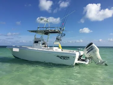 2016 Bluewater Sportfishing 23t