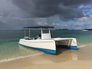 2019 Custom Catamaran
