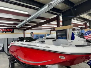 2024 Bayliner Element M17