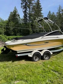 2010 Sea Ray 205 Sport