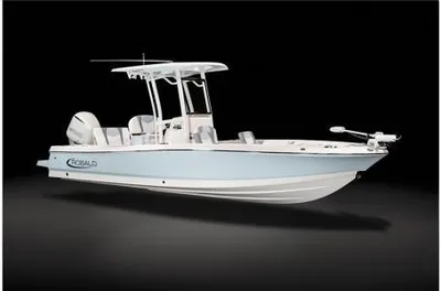 2024 Robalo 246 Cayman