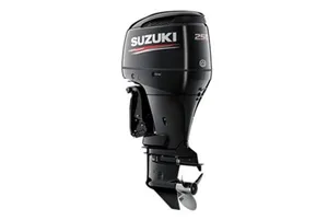 2024 Suzuki DF250AP