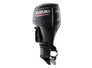 2022 Suzuki DF250TXX4