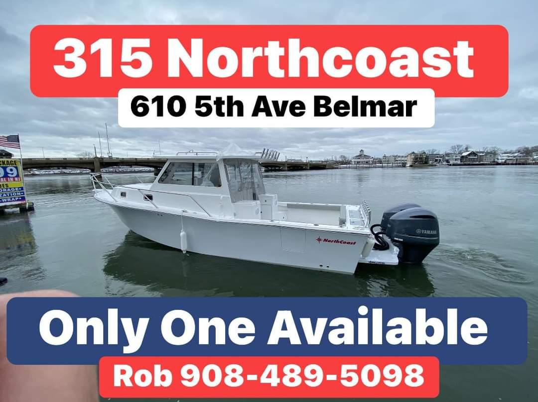 boat 315 price