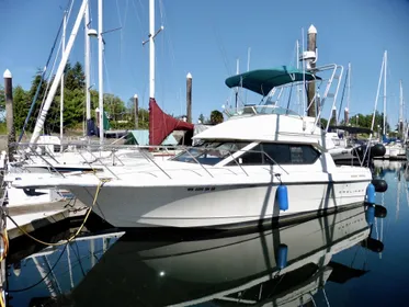 1996 Bayliner 2858 Ciera Command Bridge