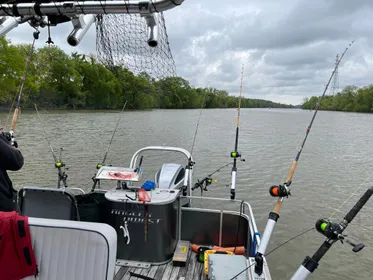 2019 Angler Qwest 824 Crappie Edition