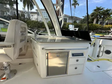 2019 Boston Whaler 320 Vantage