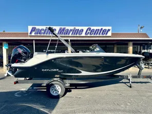 2024 Bayliner Element M19 w/ 115 HP Mercury ProXS!