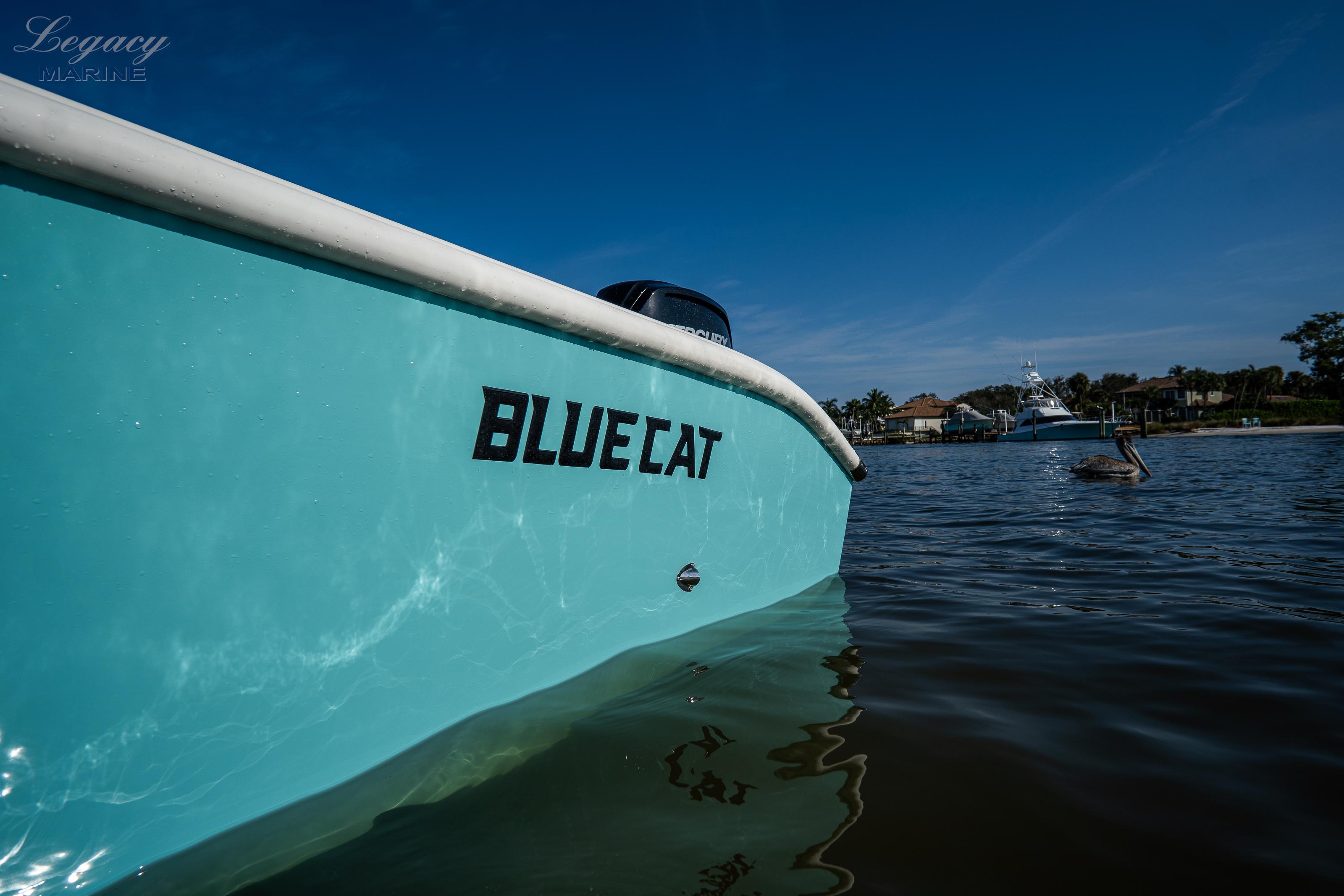 2024 BlueCat 17' Bluecat