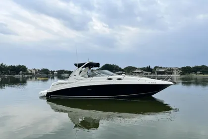 2006 Sea Ray 320 Sundancer