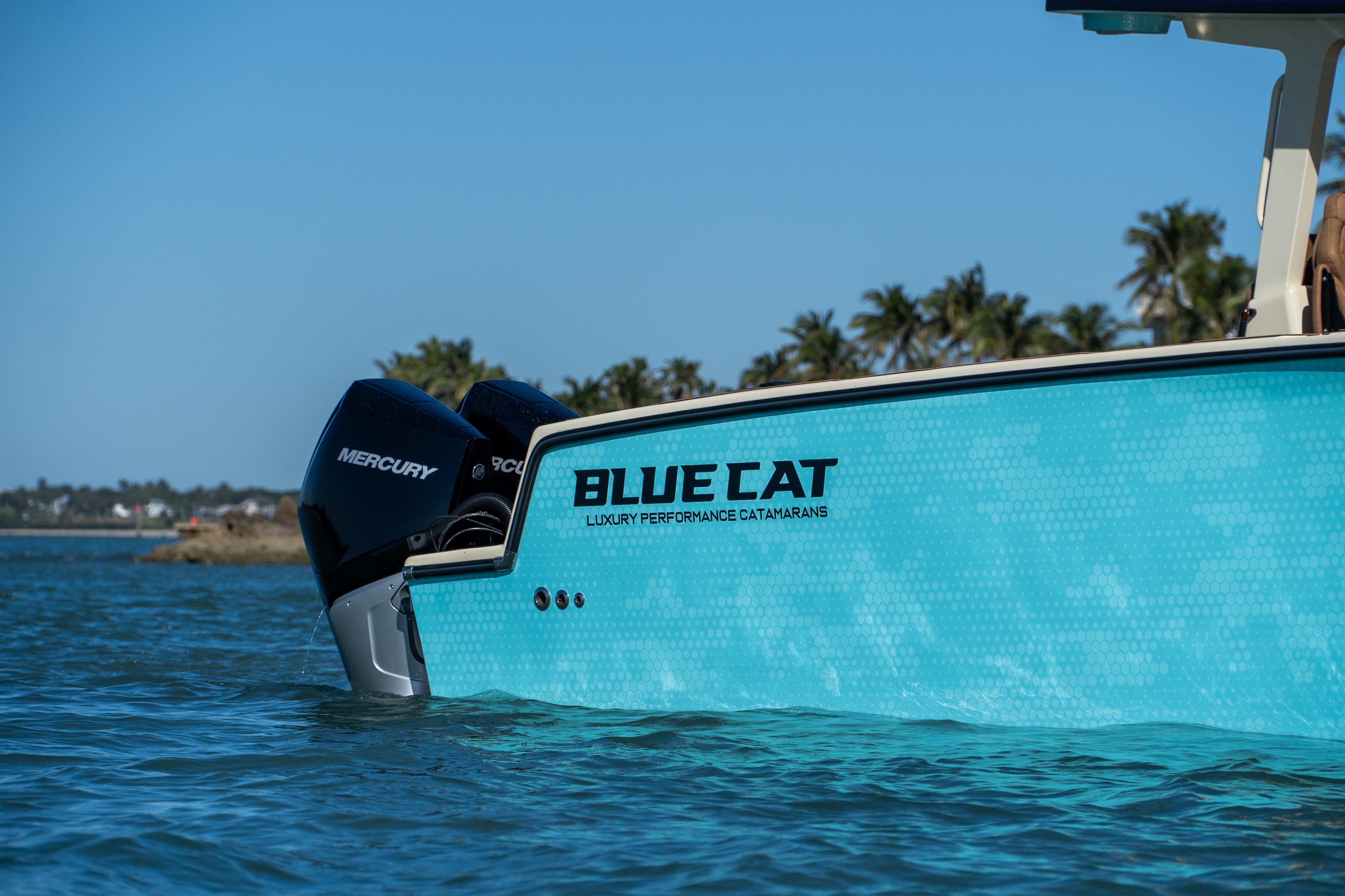 2024 BlueCat 30' Bluecat