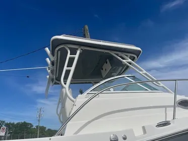 2019 Striper 230 Walkaround