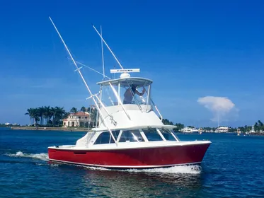 1974 Bertram 31 Sportfisher