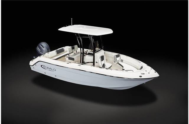 New 2024 Robalo R222 Arriving 11/20/23, 23320 Chesapeake - Boat Trader