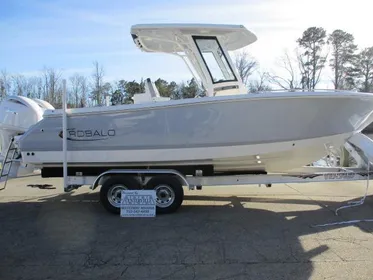 2024 Robalo R250 In Stock new leaning post. Rebate Expires 07