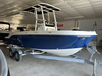 2024 Bayliner T20CC