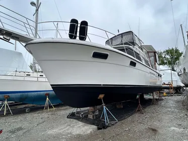 1988 Carver 4207 Aft Cabin Motoryacht