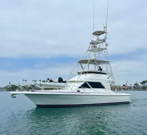 1998 Phoenix 38 Flybridge