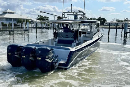 2019 Everglades 360LXC