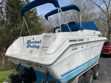 1990 Sea Ray 250 Sundancer