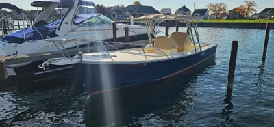 2009 Dorado 30 LE