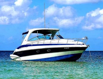 Crownline Boats For Sale Boat Trader
