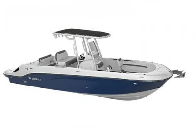 2024 Bayliner T24CC