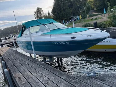 1994 Sea Ray Signature 220