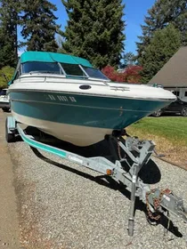 1994 Sea Ray Signature 220