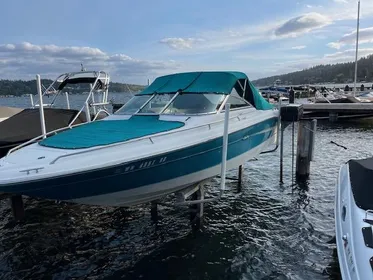 1994 Sea Ray Signature 220