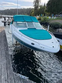 1994 Sea Ray Signature 220