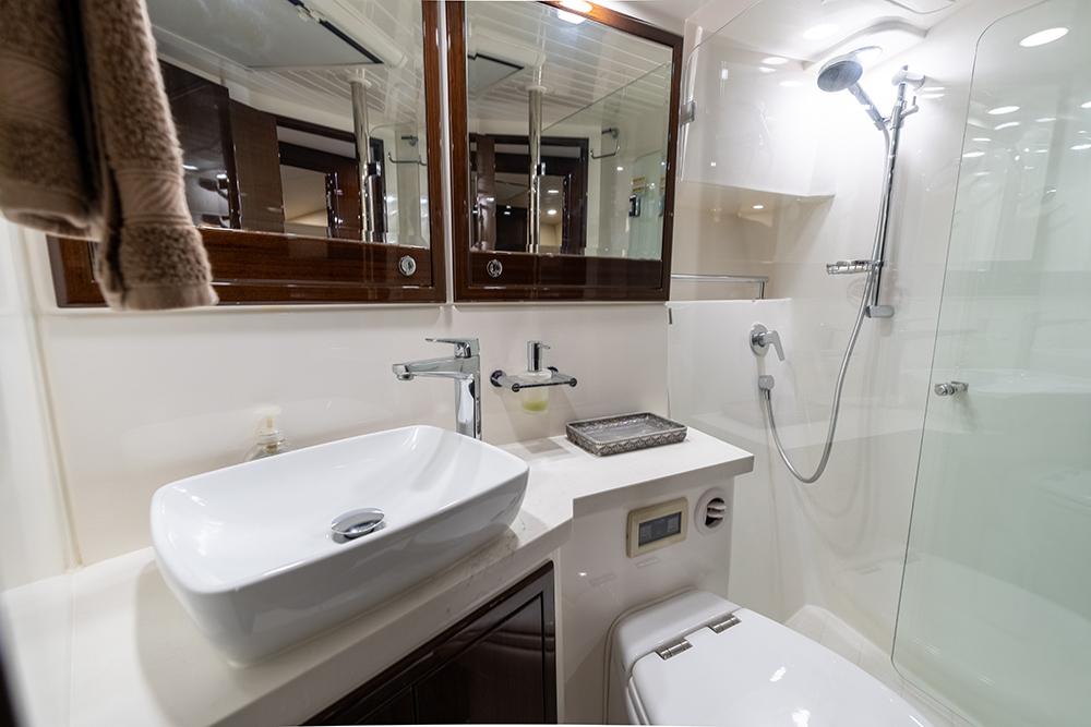 Guest vanity sink