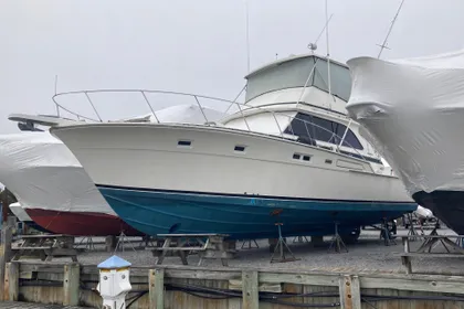 1972 Bertram 46 Sport Fisherman