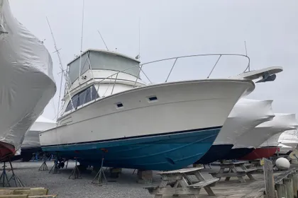 1972 Bertram 46 Sport Fisherman