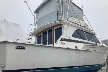 1972 Bertram 46 Sport Fisherman