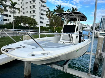 2015 Boston Whaler 240 Dauntless