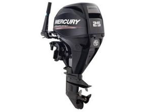 2015 Mercury 25 hp EFI